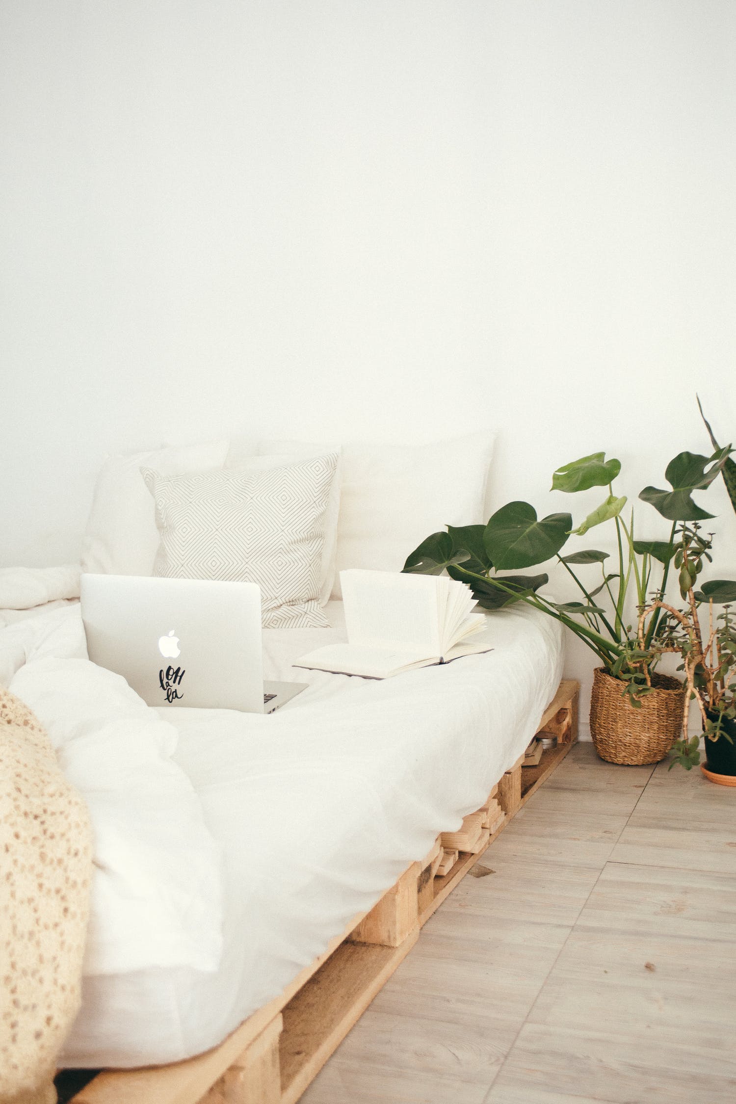 home decor with plant
